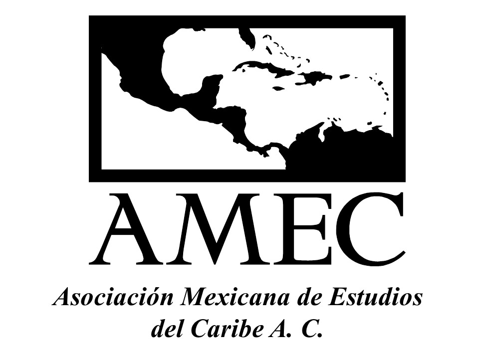 Amec negro.jpg
